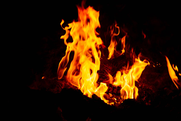 Flame of fire on a black background - Photo, Image