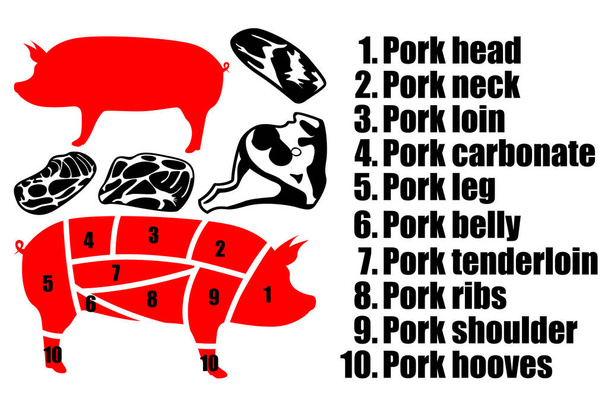 Un juego de cuatro piezas de cerdo, la silueta de un cerdo y cómo tallar la carcasa. Parte de la carne
. - Vector, imagen