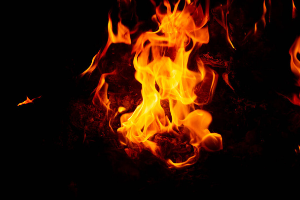 Flame of fire on a black background - Photo, Image