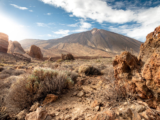 Hermosa imagen de desierto árido con plantas secas y arbustos en la ladera de la montaña
 - Foto, Imagen
