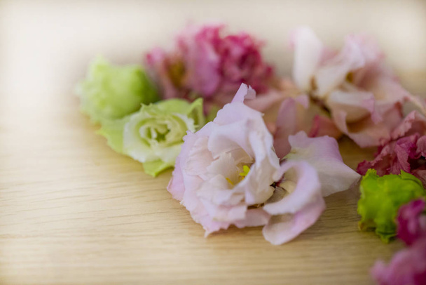 μερικώς θολή φόντο μαραμένα λουλούδια σε κοντινό πλάνο σε ένα  - Φωτογραφία, εικόνα