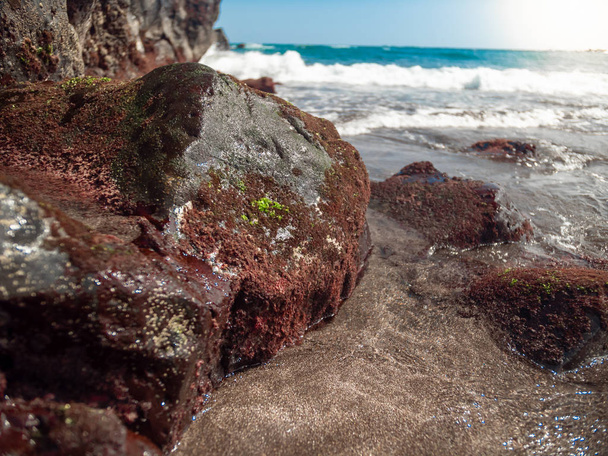 Macro beeld van oceaan golven rollen over rotsen en kliffen begroeid met zeewier en algen - Foto, afbeelding