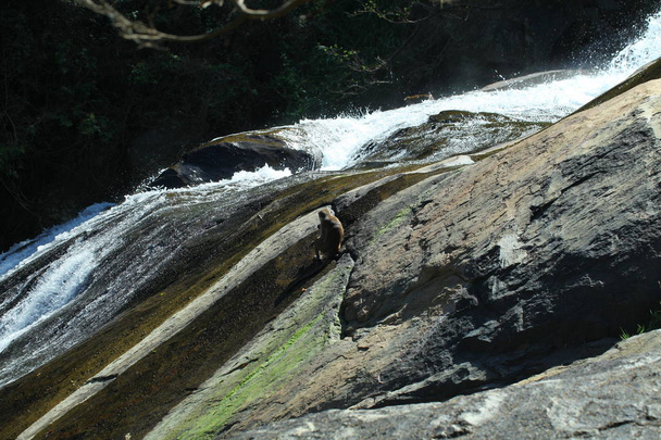 Wodospad Rawana w Montain Sri Lanka - Zdjęcie, obraz