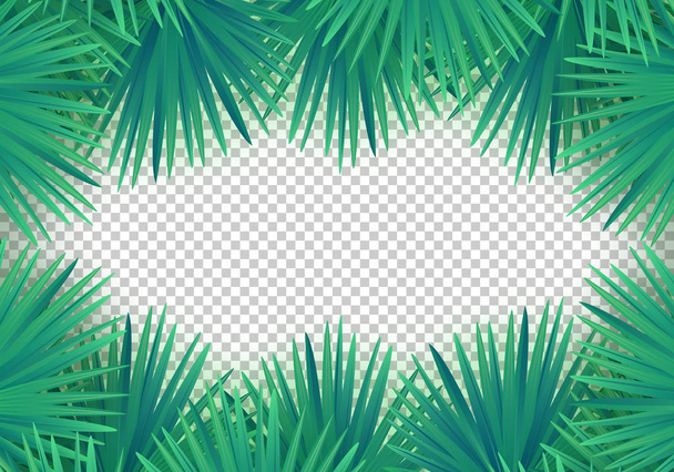 Vector Sommerpalmenblätter auf transparentem Hintergrund. Trendy tropischer Rahmen - Vektor, Bild