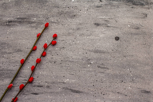 Zero waste Easter concept. Red willow seals. No plastic, eco trend. Gray concrete background - Photo, Image