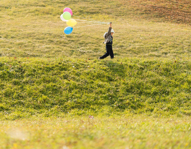 Little cute boy on grass meadow with balloons - Fotó, kép