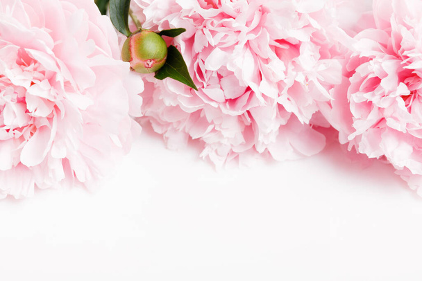 Stendardo romantico, delicati fiori di peonie bianche primo piano. Petali rosa profumati - Foto, immagini