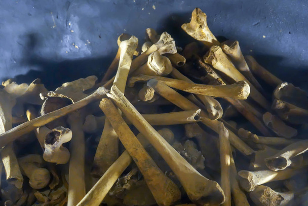 Human bones in the tomb. Mountain of human bones. - Photo, Image