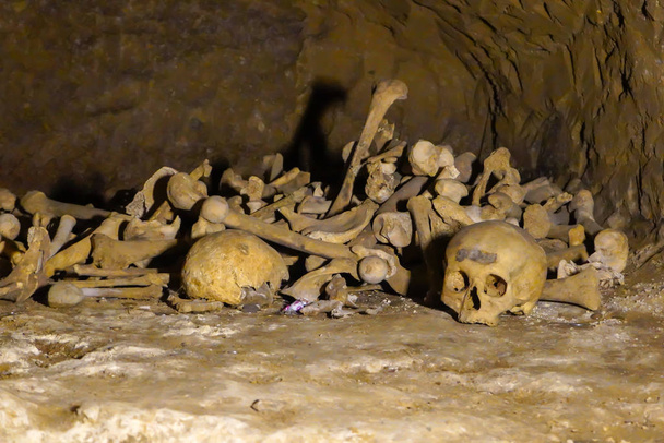 Menselijke botten en schedel in een graf. - Foto, afbeelding