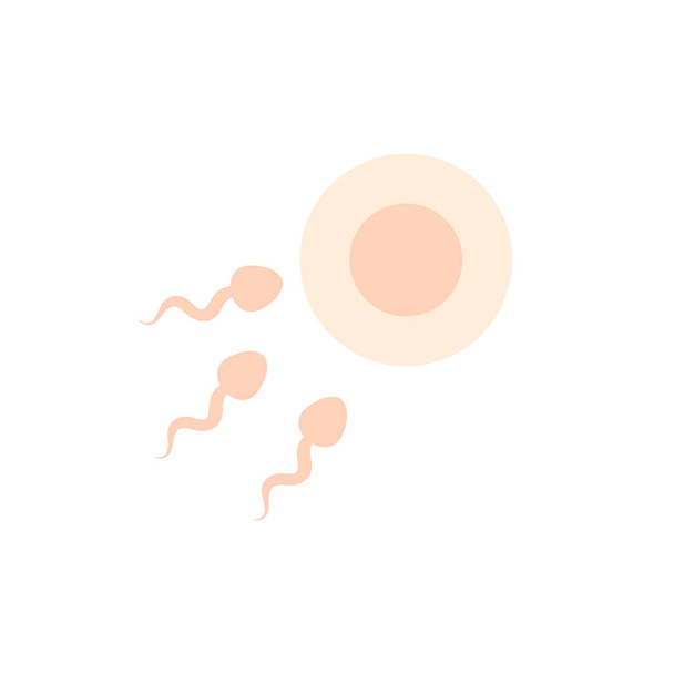 sperm and egg flat icon, vector illustration - Vector, Image