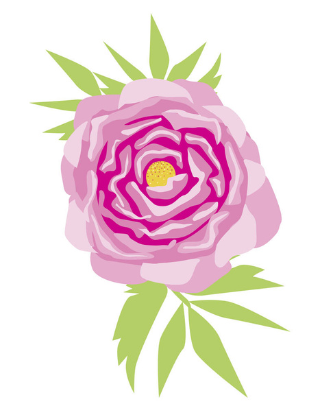 Μια vintage παιωνία απομονωμένη σε λευκό φόντο για το σχεδιασμό ή την εκτύπωση, μια επίπεδη διανυσματική απεικόνιση απόθεμα με ροζ παιώνια ή τριαντάφυλλα λουλούδια και πράσινα φύλλα σε πιάτα ή ύφασμα - Διάνυσμα, εικόνα