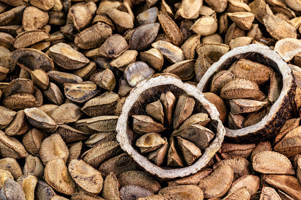 Nueces de Brasil, producto de exportación de la Amazonía. Las nueces de Brasil se llaman "nueces de Brasil" en Brasil y América Latina. Utilizado en chocolates, panes y otros alimentos de la cocina brasileña, el norte de Brasil
. - Foto, imagen