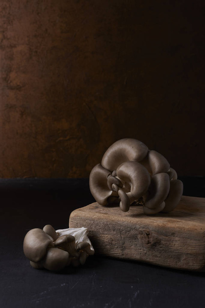 свіжі устричні гриби
 - Фото, зображення