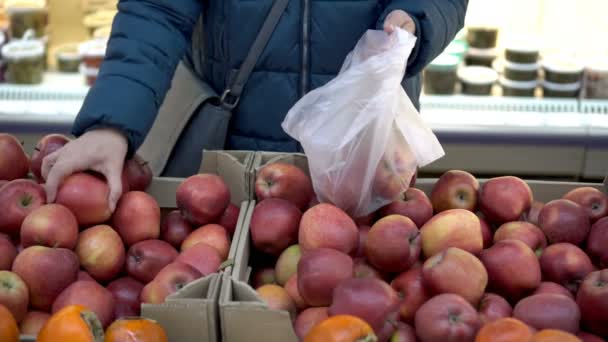 A woman chooses red apples in a store and puts them in a cellophane bag. A customer in a supermarket. Concept. Closeup. 4K. - 映像、動画
