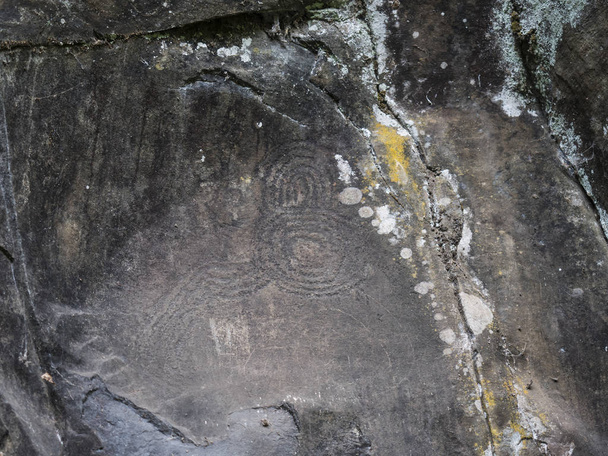 Petroglyphe en spirale sculpté dans la pierre dans le parc naturel de La Zarza site archéologique dans la forêt de Laurel, laurisilva dans la partie nord de La Palma, Îles Canaries, Espagne
. - Photo, image