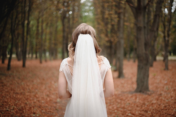 La sposa sta con la schiena in un velo nuziale nella foresta autunnale
 - Foto, immagini