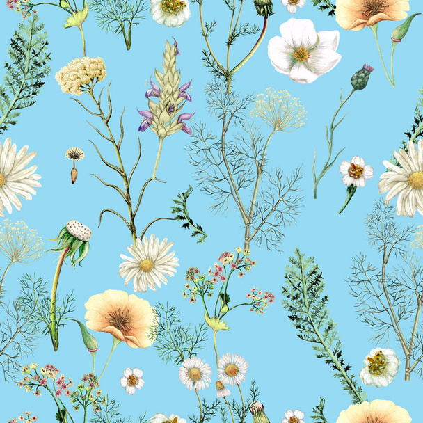Aquarell nahtloses Muster handgezeichneter Wildblumen - Foto, Bild