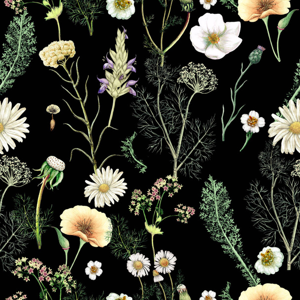 Watercolor seamless pattern of  hand drawn wildflowers - Φωτογραφία, εικόνα