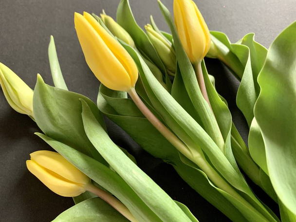 Yellow tulips bouquet on black background - Photo, Image