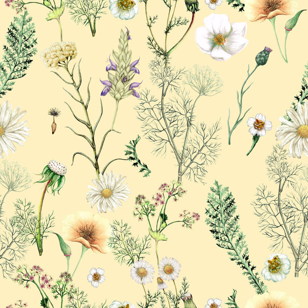 Watercolor seamless pattern of  hand drawn wildflowers - Φωτογραφία, εικόνα