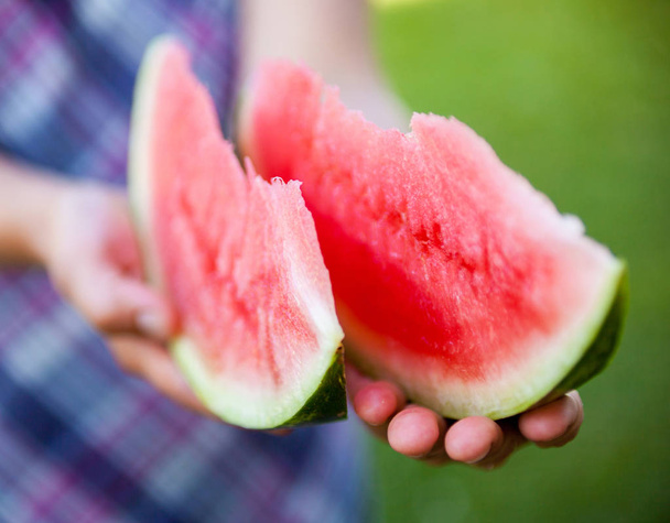 Woman holding tasty watermelon slices. - Фото, зображення