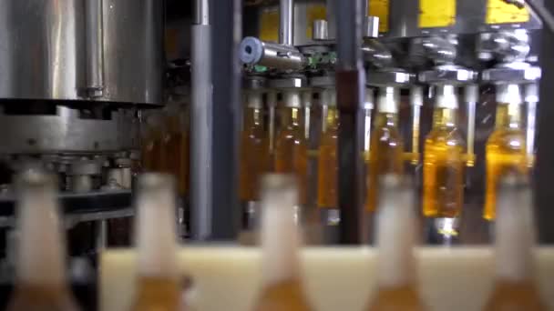 μπύρα εμφιάλωση μηχανή ζυθοποιίας μυλωνά εταιρεία - Πλάνα, βίντεο