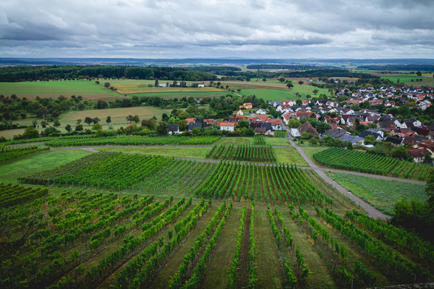 Rows of wine grapes in the vineyards of Weiler, a suburb of Sinsheim, Germany - Photo, Image