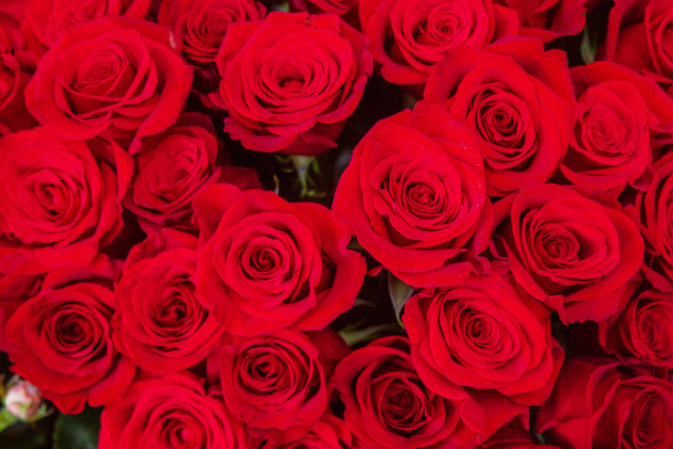 Red roses. Festive background. Wedding and birthday concept. - Photo, Image
