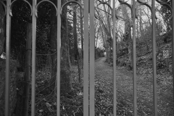 Gate to enter a road in the forest. This path seems abandoned and gives a sense of loneliness and mystery - Photo, Image
