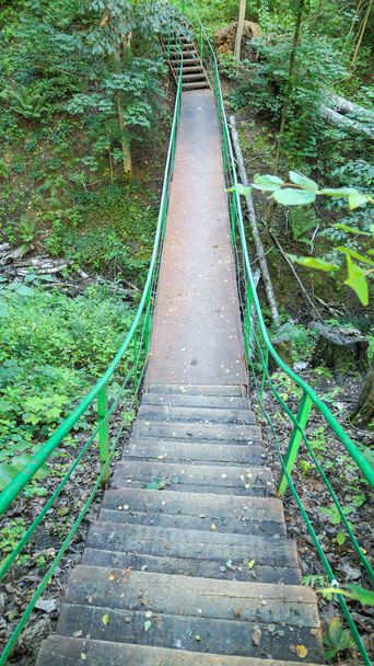 Κρεμαστό δάσος γέφυρα με ξύλινες σκάλες - Φωτογραφία, εικόνα