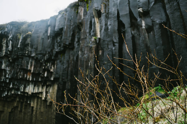 Στήλες βασάλτη του καταρράκτη Svartifoss στην Ισλανδία - Φωτογραφία, εικόνα