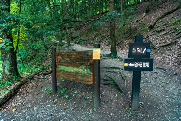 Robert H. Treman Eyalet Parkı: Gorge Patikası - Fotoğraf, Görsel