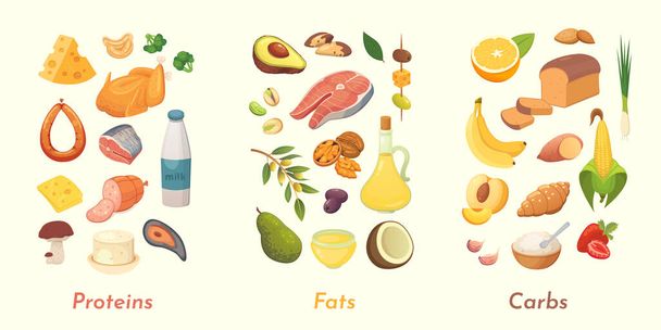 Macronutrients vector illustration. Main food groups : proteins, fats and carbohydrates. Dieting, healthy eating concept. - Vector, Image