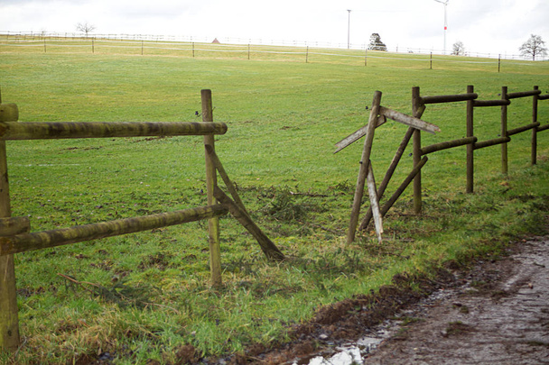 törött kerítés, állatok futnak át paddock a vihar - Fotó, kép