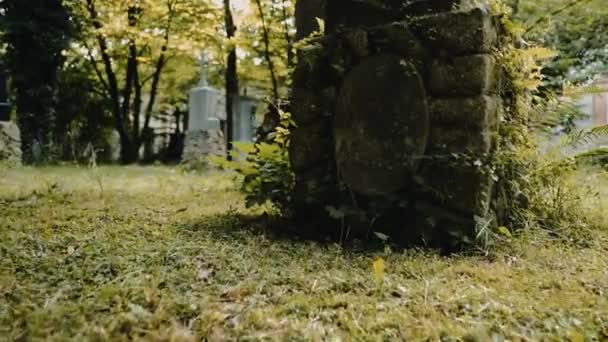 Mysterious Walk around graves in European old cemetery. The concept of horror. Slow motion. - Materiał filmowy, wideo