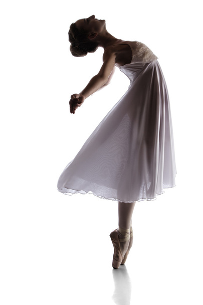 Female ballet dancer - Zdjęcie, obraz