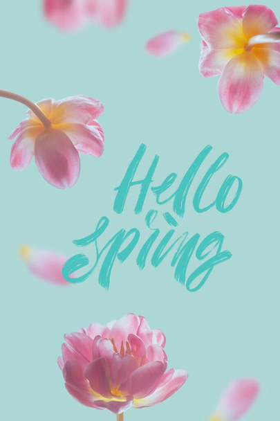 Bonjour printemps - carte de voeux avec inscription calligraphique à la main. Tulipes sur fond bleu
 - Photo, image