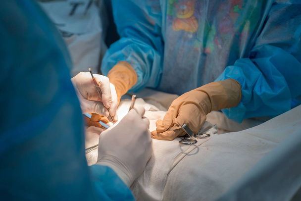 chirurgische Naht. Die Hände des Chirurgen und Assistenten in einem sterilen Operationssaal legen eine kosmetische Naht auf die Haut des Kindes des Patienten. - Foto, Bild