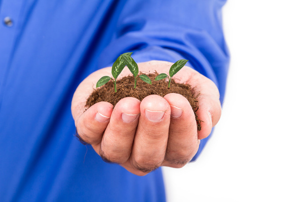 Businessman Holding Soil and Plant - Photo, Image