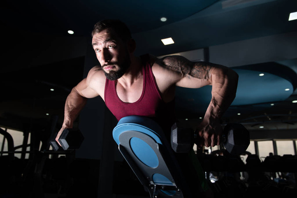 Bodybuilder Exercising Back With Dumbbells - Фото, изображение