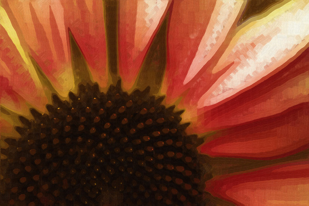 Digitally Painted Echinacea Coneflower Daisy - Photo, Image