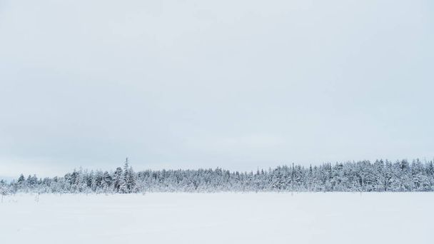 Winter beautiful landscape with trees covered with hoarfrost - Valokuva, kuva