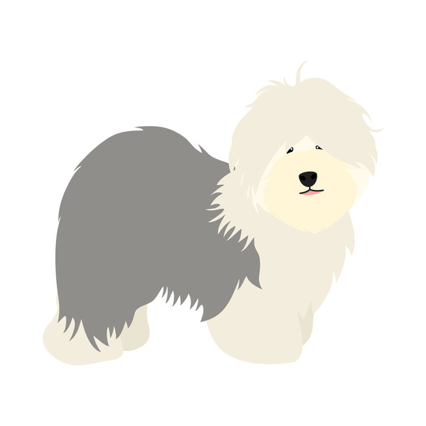古い英語シープドッグ子犬は白の背景に横に孤立立っています。かわいい漫画ロングヘア犬子犬。子供用ベクトルイラスト。アイコン、シンボル、子供の本のデザインのための素晴らしい. - ベクター画像