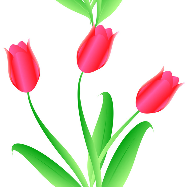 elegancja kolor bez szwu tulipany wzór - Wektor, obraz