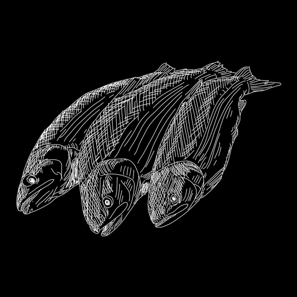 Векторная рыба
 - Вектор,изображение