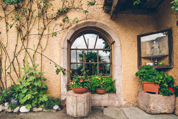 szabadban kilátás a régi ablak a növény dekoráció - Fotó, kép
