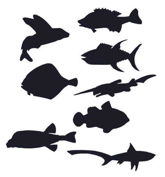 fish silhouettes vector - Vector, Image