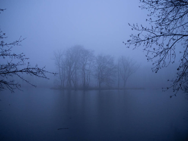 Teich im Winter im nebligen Wald - Foto, Bild