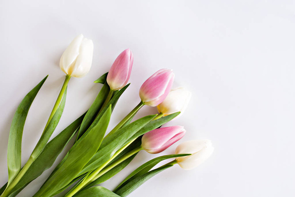 Букет белых и розовых тюльпанов на белом фоне. Женский день, День матери
 - Фото, изображение