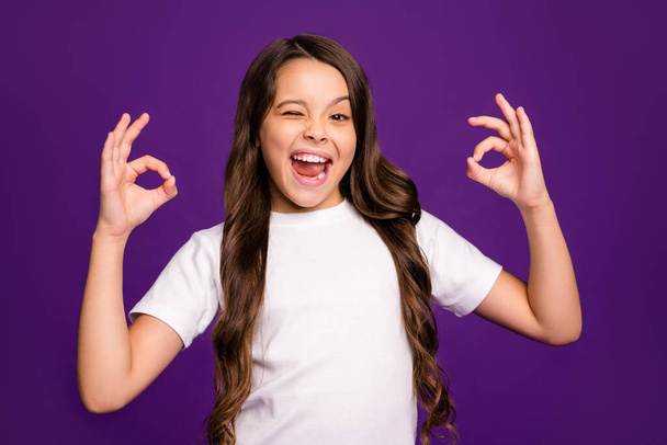 Close-up portrait of her she nice attractive lovely cheerful cheery excited wavy-haired girl showing two okay-sign winking isolated over bright vivid shine vibrant purple violet lilac color background - Zdjęcie, obraz
